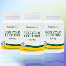 네이쳐스플러스 난황 레시틴 난황유 난유 포스파티딜 콜린 180 캡슐 x3개, 3개, 180정