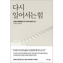 다시 일어서는 힘:인생의 전환점에서 꼭 가져가야 할 한 가지, 비즈니스북스