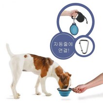 블루 휴대용 접이식 소형견식기 대형견밥그릇 프렌치불독밥그릇, 1개