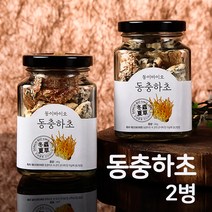 밀리타리스 누에 동충하초 버섯 균사체 밀리터리스 동충화초 건초 원물 담근주 코디세핀 단백질 국내산 고품질, 40g*2병