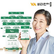 비타민마을 퍼펙트바이오틱스 기억력 혈행 장건강엔 징코 은행잎추출물 생유산균 30캡슐 X 60박스, 30정