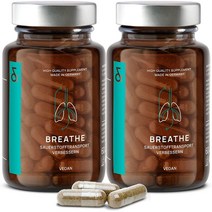 N8 BREATHE 아이슬란드 이끼 감초뿌리 비타민C 코큐텐 구리 60캡슐, 상품선택