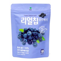 동결건조 블루베리칩 과일칩 리얼칩 20g 산마을, 1개
