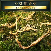 사랑품산삼 산양산삼 산양삼 장뇌삼 8-20년근 자연산 모양 산삼사랑, 03번_산양삼 8~9년근 10뿌리