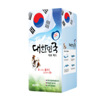 피알지 대한민국 대표패드 38g 400*500 두툼한 소형 50매 배변패드, 1팩