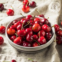 [홍천철원] 워싱턴 프리미엄 빙 체리 500g 1kg, 워싱턴 프리미엄 빙 체리 500g (10 row)