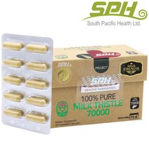 SPH 뉴질랜드 밀크씨슬 70000 60캡슐 밀크시슬 실리마린 800mg 엉겅퀴추출물, 단품