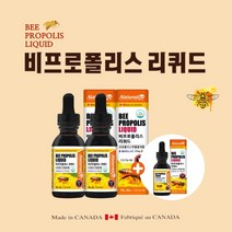 캐나다 직수입 구강 입안 입속 혓바닥 염증 향균 항산화 작용 목이 간질간질 목이물감 목건강 관리 개선 에 좋은 액상 원액 꿀벌 프로폴리스 리퀴드, 30ml, 3개