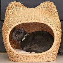 초록씨 고양이 강아지 라탄 하우스고양이집 강아지집 하우스>>쿠션하우스, 1.큐티 라탄 하우스” class=”wr-img”></a></div>
</div>
</div>
</div>
<div class=
