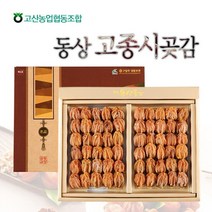 완주동상 고종시 곶감 5호(1.2kg 60과내), 1세트