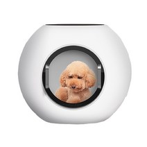 펫드라이룸 반려동물 반려견 드라이기 Popular Items Pet Automatic Drying Box for Fur Disinfection with Digital Control