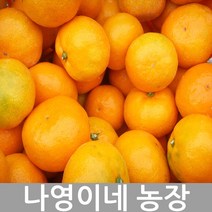 2023년 나영이네 고당도 귤 레드향 5kg 7.5kg 10kg-귤 달아요 산지직송, 고당도 귤5kg(2S)소과-귤 달아요