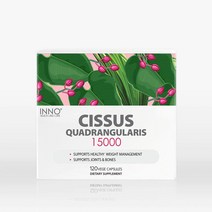 뉴질랜드 이노헬스앤케어 시서스 알약 15000 120 캡슐 씨서스 Cissus 분말