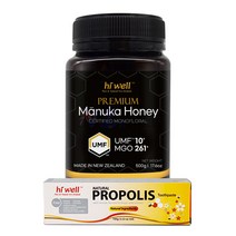 하이웰 프리미엄 마누카 꿀 UMF 10+ 500g 1개