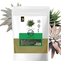 국산 와송분말 와송 가루 파우더 500g