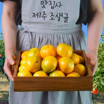 맛집사 제주도 조생 귤 고당도 제주 노지 감귤 선물용 가정용 5kg 10kg, 귤9.5kg