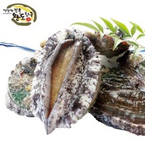 완도전복 명품완도전복7호 1kg 20~25미, 없음, 상세설명 참조
