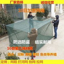 나일론 물고기 어망 그물 케이지 그물 어망-181143, 나일론 케이지 길이 8m, 너비 8m, 높이 2m