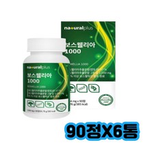 보스웰릭산 인도산 보스웰리아 비타민D3해조칼슘 글루코사민 울금 효능 관절 BCC 복용법 보수엘리아 관절엔 식약처인증 모노 페노펜 다이 트라이 녹색입홍합 상어연골 분말