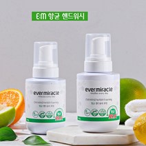 이엠 EM 항균 핸드워시 포밍 300g 비건, 2개