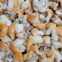 산지직송 자연산 여수 새조개 2kg 실중량 500 내외, 1개