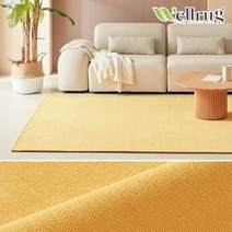[웰러그] 항균 플로우 단모 러그 워셔블 카페트 100x150 5colors