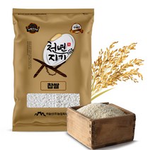 천년지기 찹쌀 5kg 찹쌀백미 2022년산 햅찹쌀