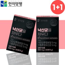 한미양행 낙산균 분말 프락토올리고당 유산균 약2개월분