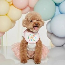 강아지 고양이 생일 턱받이 2color 파티용품 반려견 반려묘 반려동물 생일파티, 블루, S