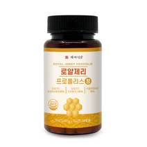 로얄제리 프로폴리스 500mg x 100정 HACCP 인증제품, 1개, 500mg*100정