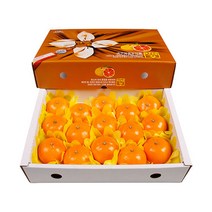 농장직송 고당도 천혜향 3kg 5kg 10kg, 1박스, 천혜향 3kg 대(14~16과)