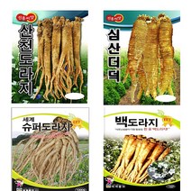 슈퍼도라지 씨앗 종자 백도라지 더덕 5g 1000립 (슈퍼도라지 씨앗 종자 백도라지 더덕 5g 1000립), 3.슈퍼도라지1000립