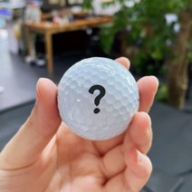 이쁨받는 골프공 이니셜인쇄 선물 / 커스텀디자인 골프공 인쇄 / 타이틀리스트 pro v1 v1x, 3구, 유광
