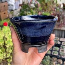 예운분: 둥근 정사각분 소, 07.남색