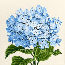 블루 수국 (캔버스) DIY명화그리기 25x25, 단품