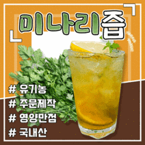 [득템몰] 유기농 돌 미나리즙원액100% 건강음료 명절선물세트 독소제거 해독주스 건강즙, 돌미나리즙(원액100%) 1박스