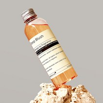 딥블러쉬 실내 방향제 디퓨저 리필 150ml, 휠
