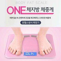 가정용 인바디 체중계 블루투스 스마트 측정기 기계, 2