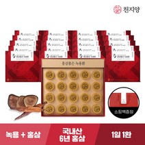 [천지양] 홍삼품은 녹용환 20환 x 20박스(총 400환)+쇼핑백, 단품, 단품