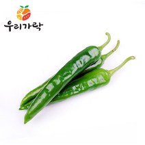 [우리가락] 오이고추 500g, 상세 설명 참조