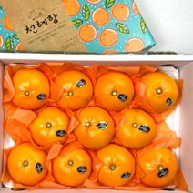 [선물포장] 제주도 명품 한라봉 천혜향 레드향 선물용 3kg (7과~14과), 명품 천혜향 3kg 1박스