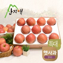 산지애 [2023햇사과] 알뜰 못난이사과(대과) 4kg 2box, 단품없음