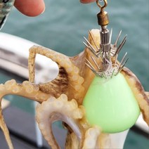 축광 쭈꾸미 문어 애자 서해 채비 루어낚시 두족류 갑오징어 한치 바늘 에기