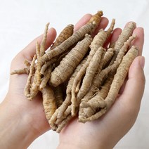 제주직송 한라산더덕 세척 하품(파지) 5kg, 단품