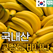 국산 유기농 바나나 1.5KG 국내산 고당도 산청 바나나, 국산 산청 유기농 바나나 1.5kg, 1개