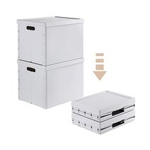 TAILI 2 Pack Storage Bins With Lids Collapsible & Stackable Plastic Storage Bins Container 32L Clo, 2 Boxes