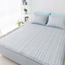 110X200 S/SS 침대 패드 매트 알러지케어 카페트 거실 러그, 마루그레이