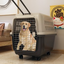 반려견 항공켄넬 화물칸 캐리어 손잡이 바퀴달린 케이지, 1호 에어박스12마리 이내의 개 고양이, 손잡이가있는주황색소변기+걸이+기저귀