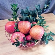 블랙애플 사과유명한곳 충주 안동 청송 부사 꿀 사과 5KG, 부사16-20개사이5kg