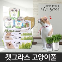 꿈쟁이 캣그라스 고양이풀 밀 캣닢 귀리 원형 투명 투톤화분 키우기 고양이간식, 1개, 캣잎 투명화분(네모)